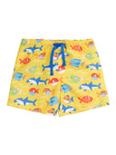 Boscastle Boardshorts