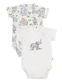 Shay Summer 2 Pack Body